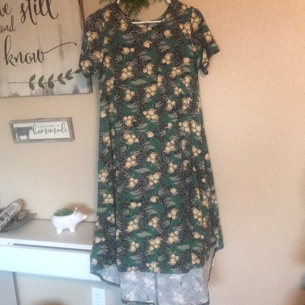 Lularoe dress